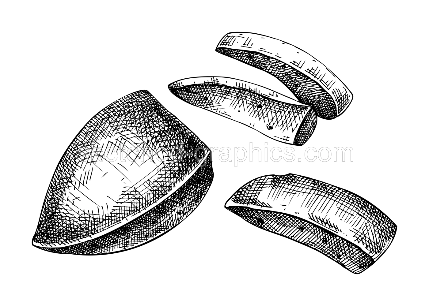 Hand drawn pork liver sketches set. Internal organs of farm animal drawings. Healthy food vector Illustrations on a white background. Cattle organ meat, offal, ingredients, butchery design elements. Illustration